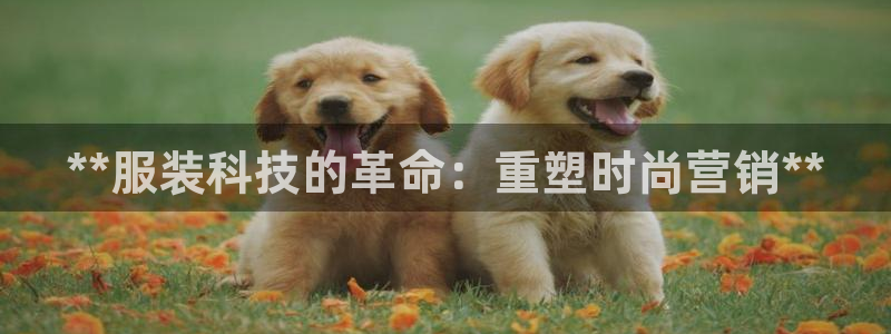 金年会金字招牌荣誉至上