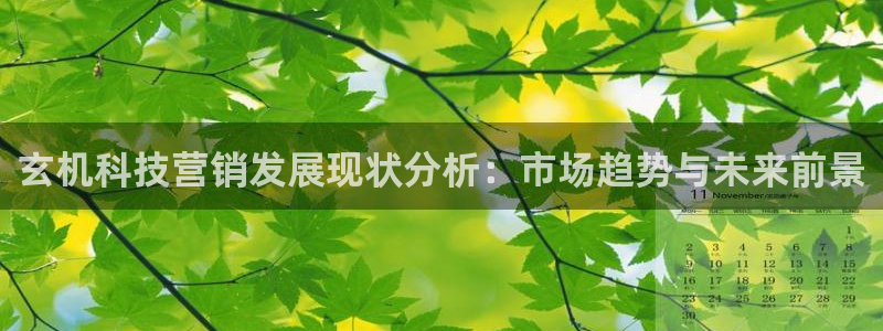 金年会黑不黑