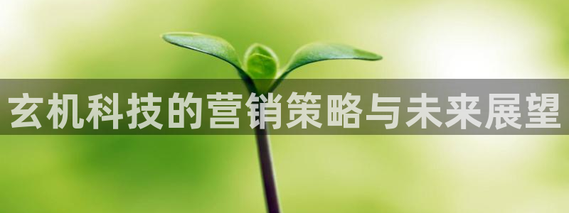 金年会体育买球app下载官网