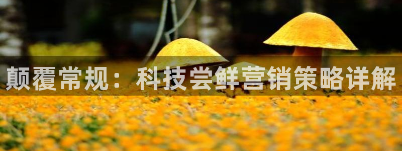 金年会体育合法吗