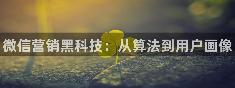 金年会今年会官方在线登录