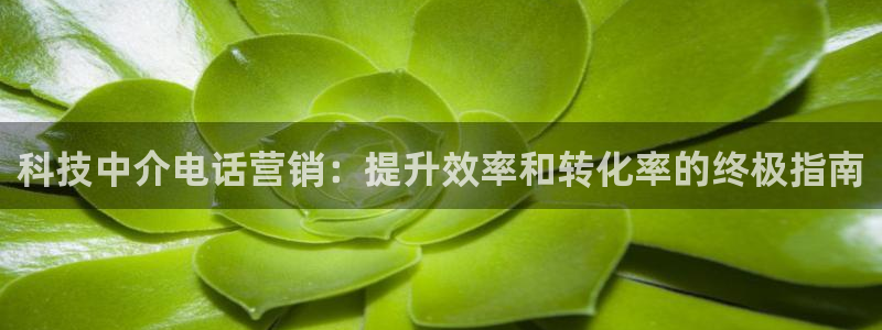 金年会官方娱乐app下载安装