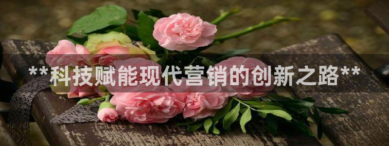 金年会体育app入口