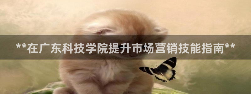 金年会体育app官网86