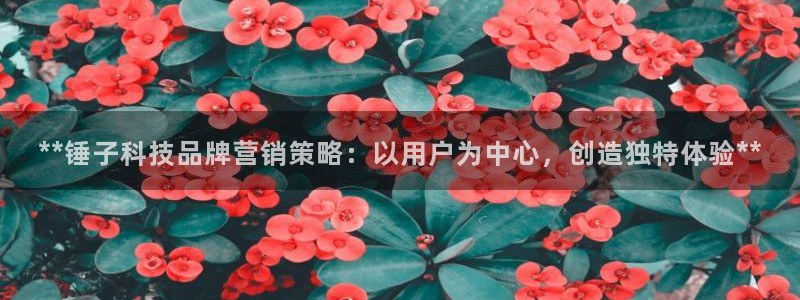 金年会体育app最新官网下载苹果