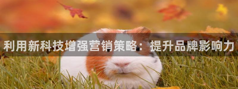 金年会平台是黑网还是白网
