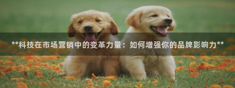 金年会提现不了
