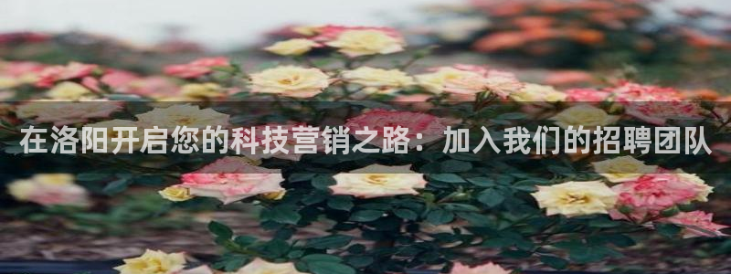 金年会电子游泳app