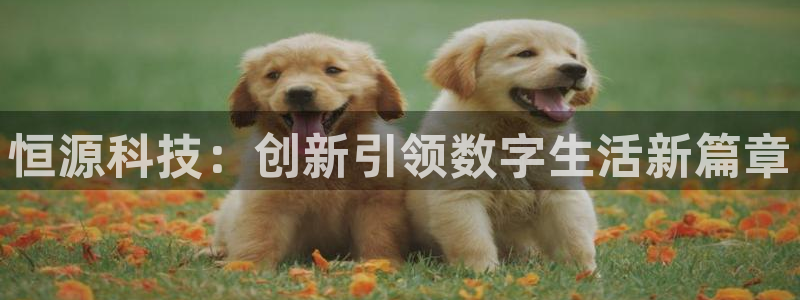 金年会官方网站入口网址