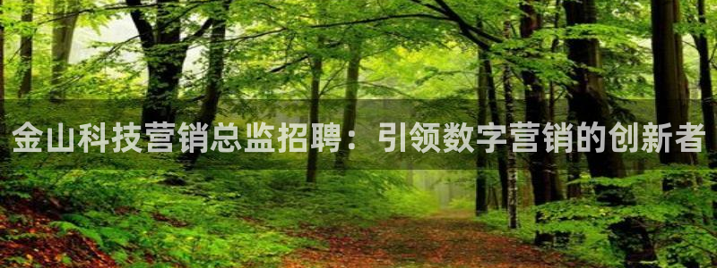 金年会体育app最新官网入口