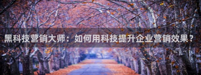 金年会赌博是诈骗吗