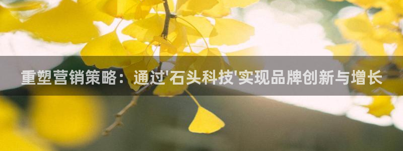 金年会体育app下载安装