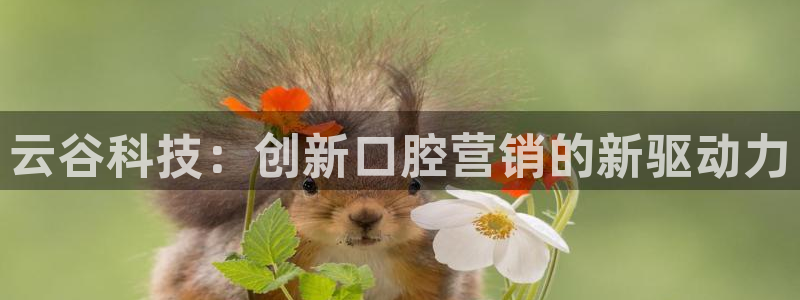金年会手机版