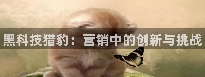 金年会体育平台连接下载
