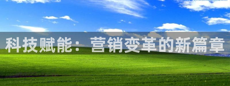 金年会
