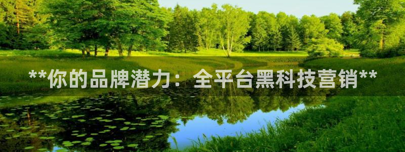金年会信誉至上金字招牌