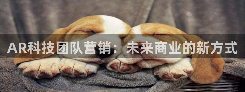 金年会在线入口2023