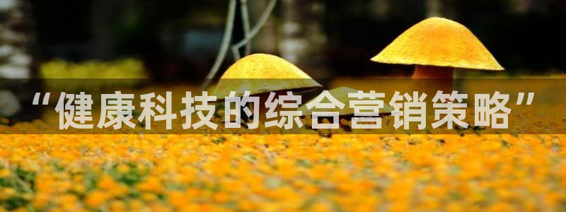 金年会体育登陆
