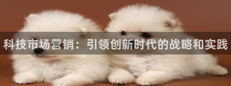 今年会金年会