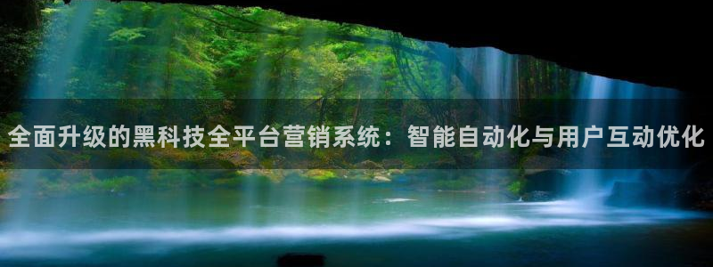 金年会体育一直输