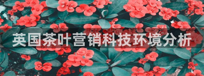 金年会金字招牌至上技术有限公司