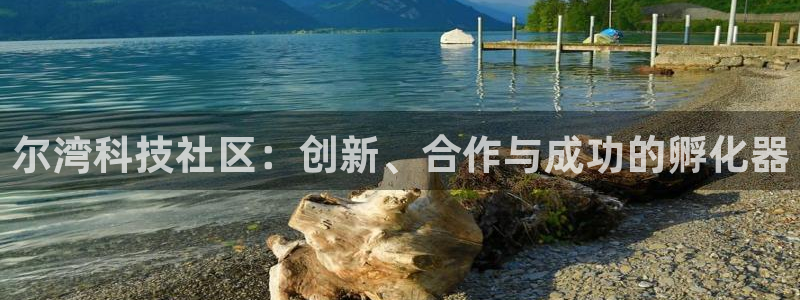 金年会体育app
