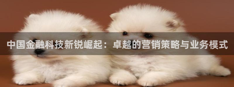 金年会体育黑