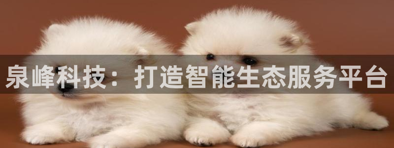 金年会app官方网站
