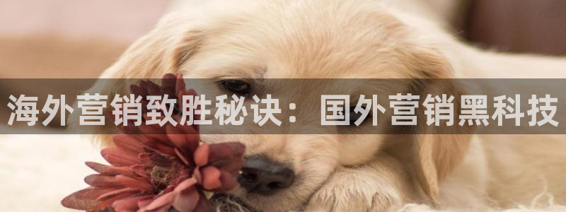 金年会-金字招牌信誉至上