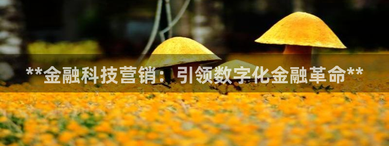 金年会平台真他妈坑人