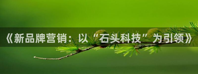 金年会网站平台怎么样