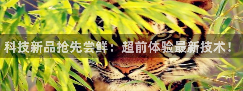 金年会pg电子官网首页