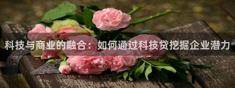 金年会体育平台官网下载