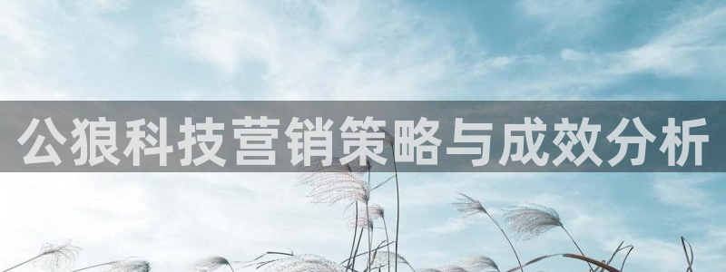 金年会体育在线