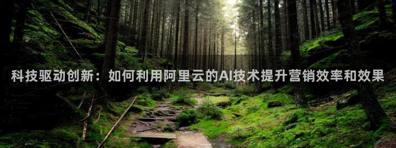 金年会com