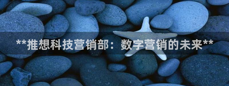 金年会金字招牌至上