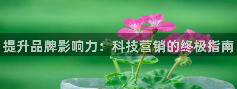 金年会电子app官方下载