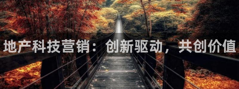 金年会体育是合法的吗