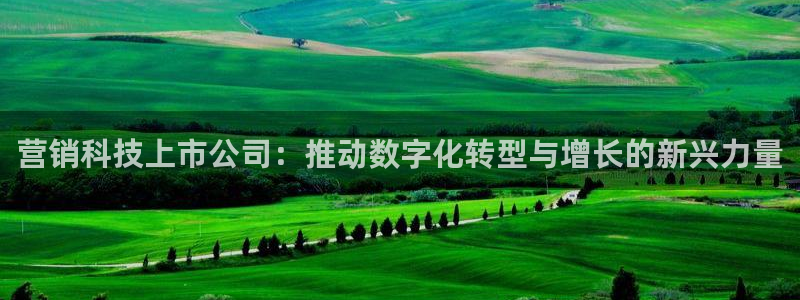 金年会vip网页版在线登录入口官网