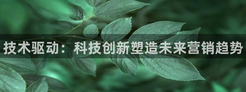 金年会平台怎么样