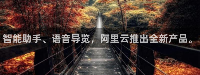 金年会体育app最新下载