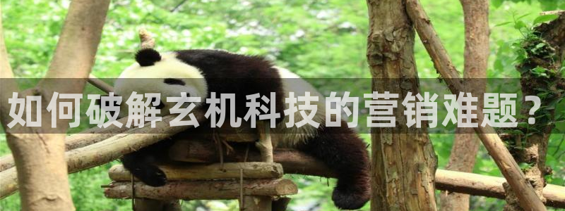 金年会官方在线入口网站查询