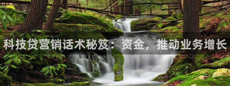 金年会体育app官网入口网址