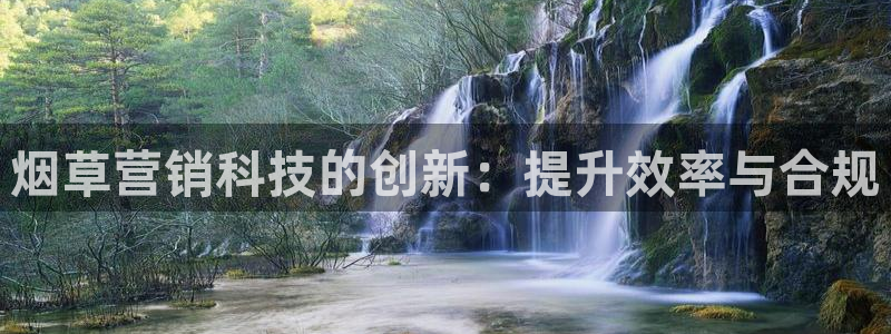 金年会pg官网
