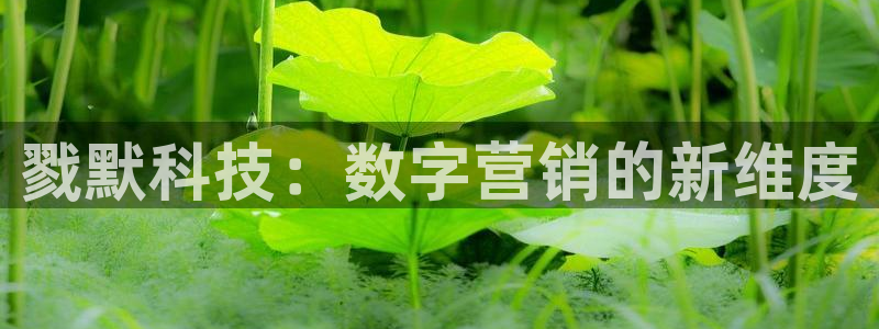 金年会app官网