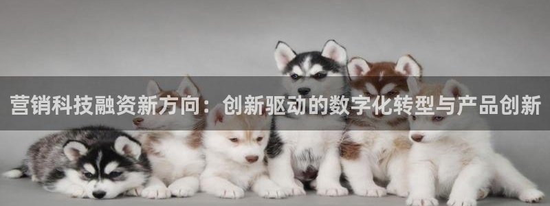 金年会平台官网下载
