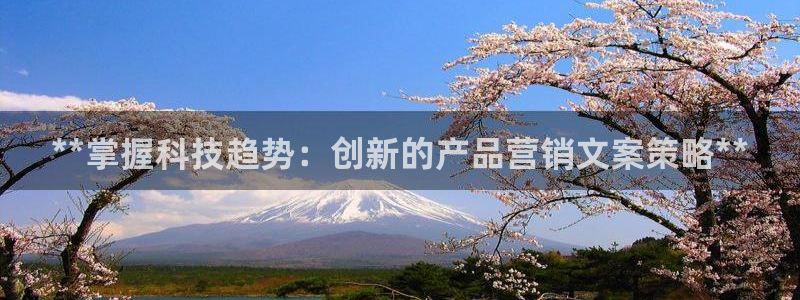 金年会是什么平台