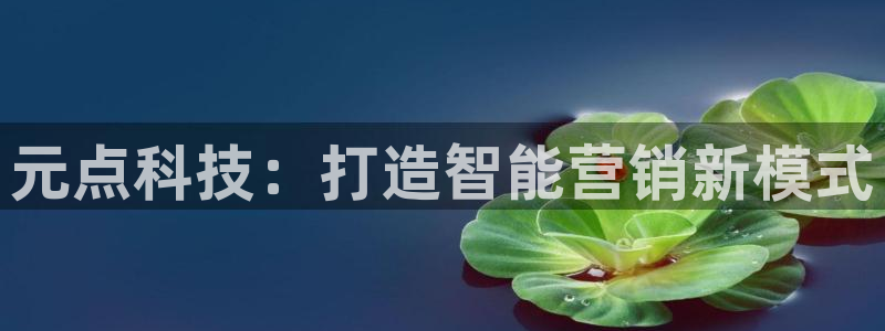金年会电子游戏app官方