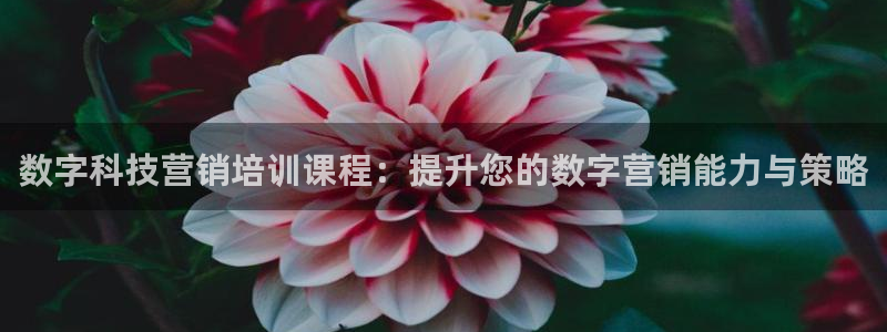 jinnianhui金年会