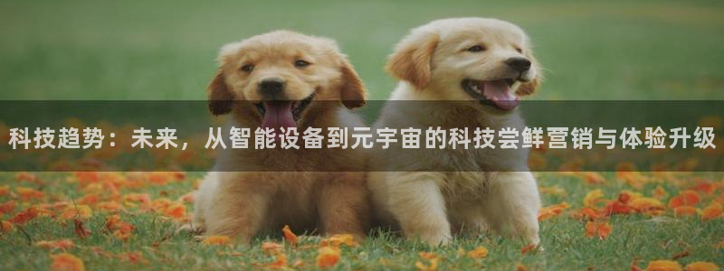 金年会体育隐藏入口